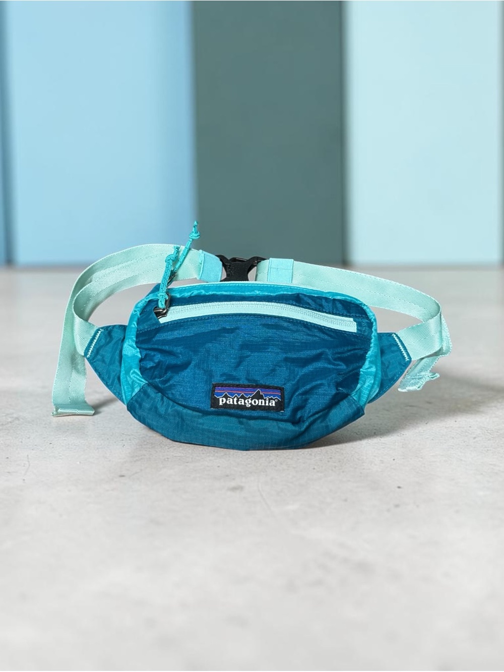 Patagonia Teal and Mint Waist Pack